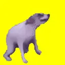 Límmiði