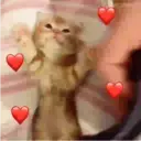 ملصق