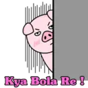 Stika