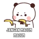 Наліпка