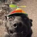 מדבקה