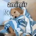 מדבקה