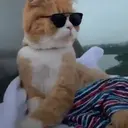 اسٹیکر