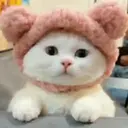 اسٹیکر