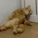 اسٹیکر
