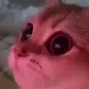 اسٹیکر