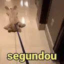 ملصق