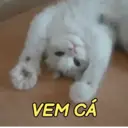 ملصق