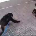 స్టికర్