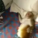 స్టికర్