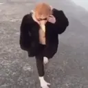 స్టికర్