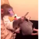 స్టికర్