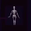 贴纸