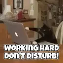 ステッカー