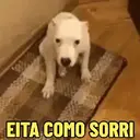 ملصق
