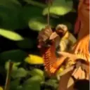 ملصق