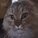 贴纸