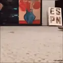 贴纸