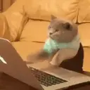 贴纸