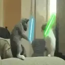 贴纸