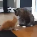 贴纸