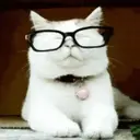 贴纸