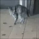 贴纸
