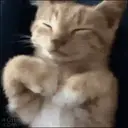贴纸