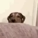 স্টিকার