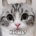 Çıkartma