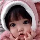 贴纸