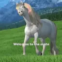 Límmiði