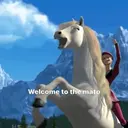 Límmiði