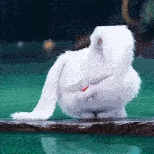 Figurinha