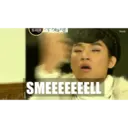 ஸ்டிக்கர்