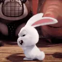 Figurinha