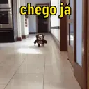 ステッカー
