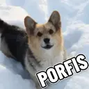 Samolepka