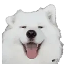 Naklejka