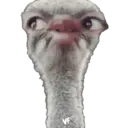 Naklejka