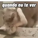 ステッカー