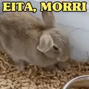 Figurinha