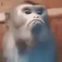 Límmiði