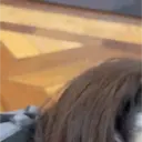Çıkartma