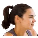 Ngjitës