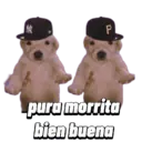 Stika