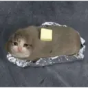 స్టికర్