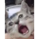 స్టికర్