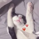 ملصق