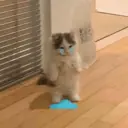 מדבקה